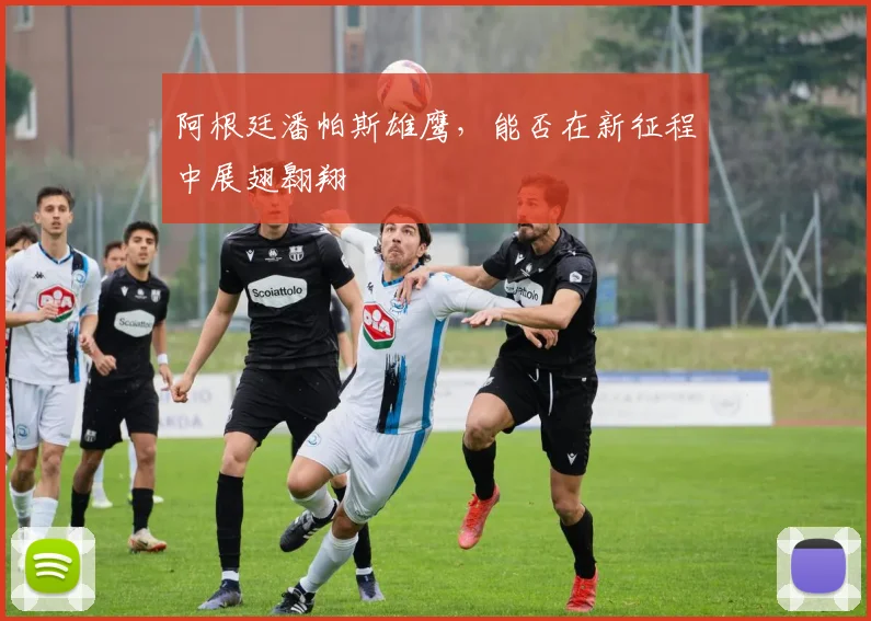 阿根廷潘帕斯雄鹰，能否在新征程中展翅翱翔
