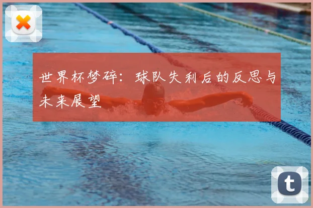 世界杯梦碎：球队失利后的反思与未来展望